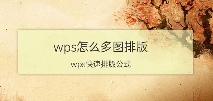 wps怎么多图排版 wps快速排版公式？